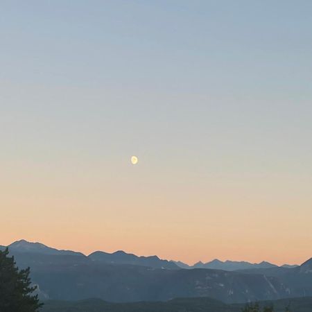 Kreuzstein Bed&Breakfast อัปเปียโน ซุลลา สตราดา เดล วีโน ภายนอก รูปภาพ