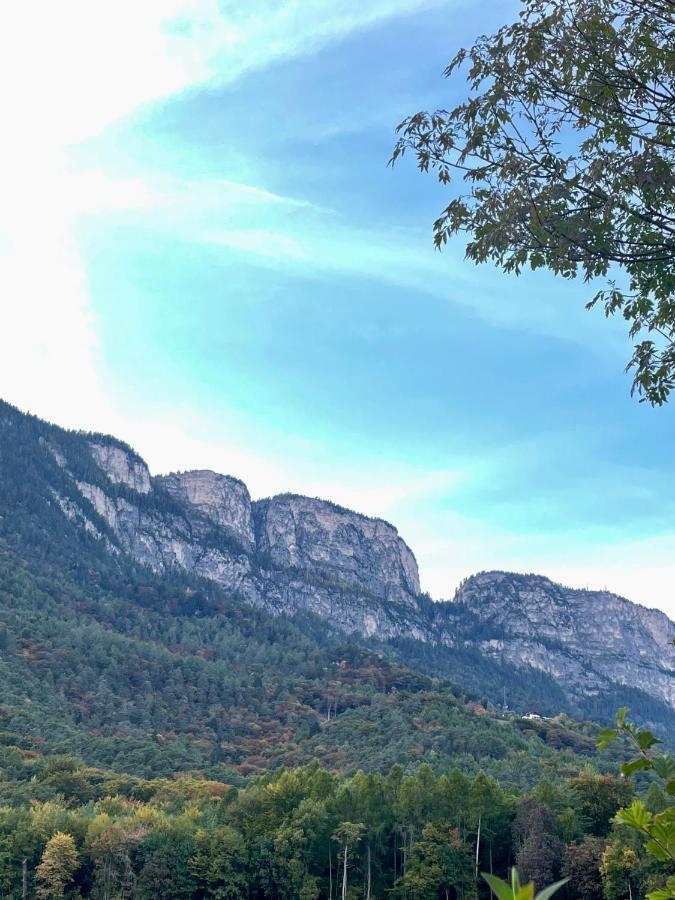 Kreuzstein Bed&Breakfast อัปเปียโน ซุลลา สตราดา เดล วีโน ภายนอก รูปภาพ