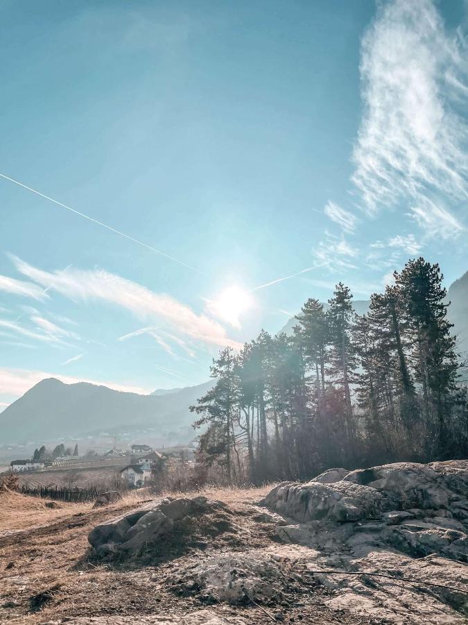 Kreuzstein Bed&Breakfast อัปเปียโน ซุลลา สตราดา เดล วีโน ภายนอก รูปภาพ