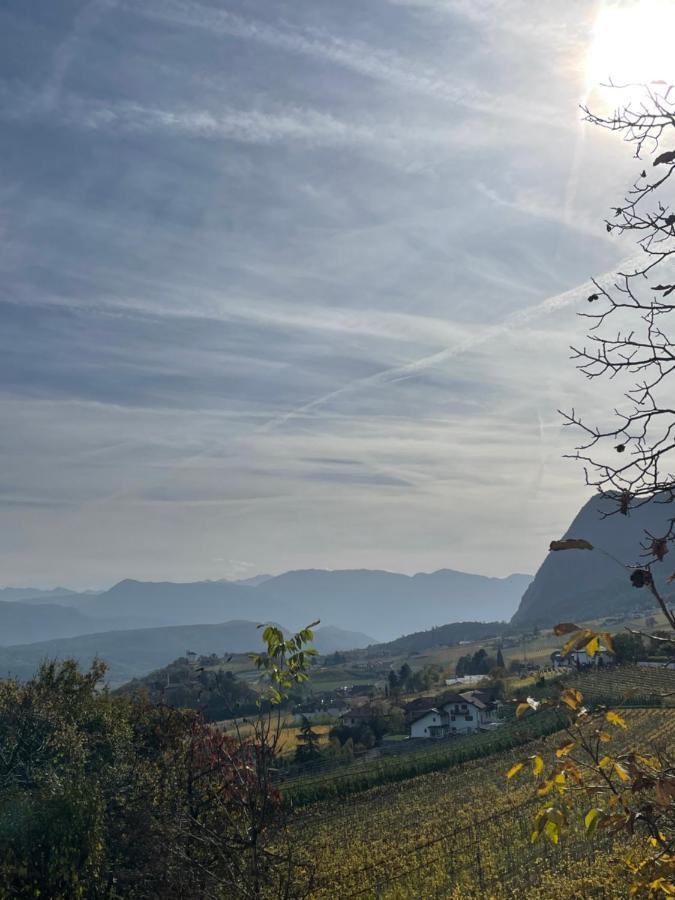 Kreuzstein Bed&Breakfast อัปเปียโน ซุลลา สตราดา เดล วีโน ภายนอก รูปภาพ