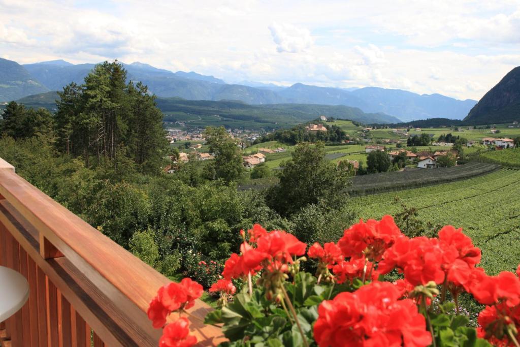 Kreuzstein Bed&Breakfast อัปเปียโน ซุลลา สตราดา เดล วีโน ห้อง รูปภาพ